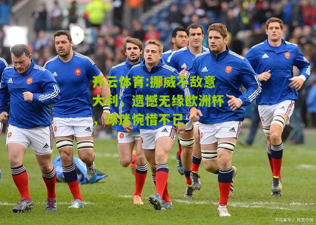 开云体育:挪威不敌意大利，遗憾无缘欧洲杯，球迷惋惜不已